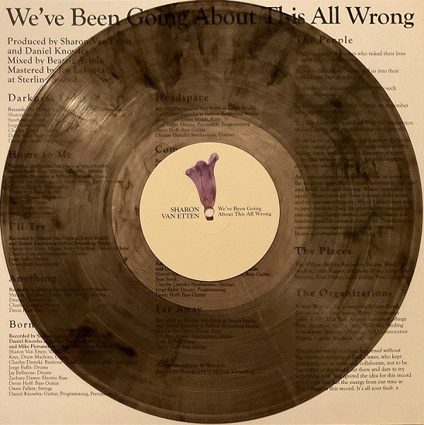 Sharon Van Etten : We've Been Going About This All Wrong (LP, Album, Ltd, Cle)