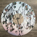 Anouk : Trails Of Fails (LP, MiniAlbum, Ltd, Num, Whi)