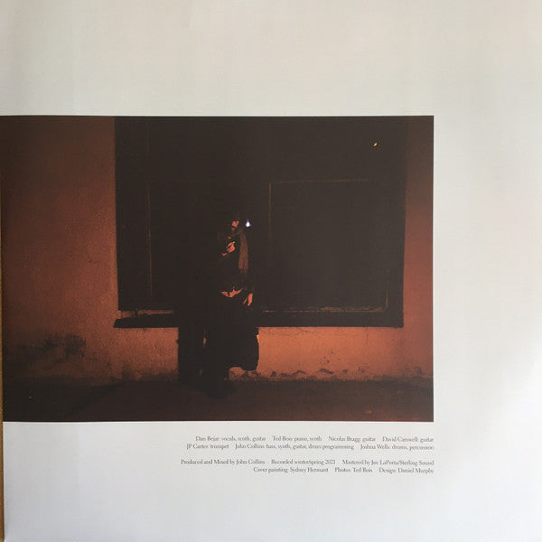 Destroyer (4) : Labyrinthitis (LP, Album, Ltd, Cle)