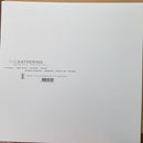 The Gathering : Beautiful Distortion (LP, Album)