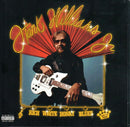 Hank Williams Jr. : Rich White Honky Blues (CD, Album)