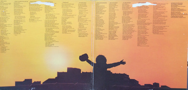 Janis Ian : Miracle Row (LP, Album, Gat)