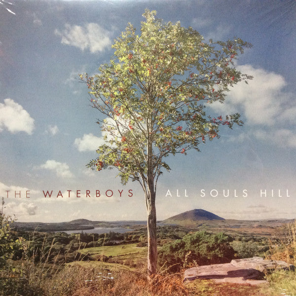 The Waterboys : All Souls Hill (LP, Album)
