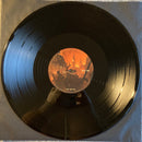 Megadeth - Megadeth - The Sick, The Dying... And The Dead!  (LP) - Discords.nl