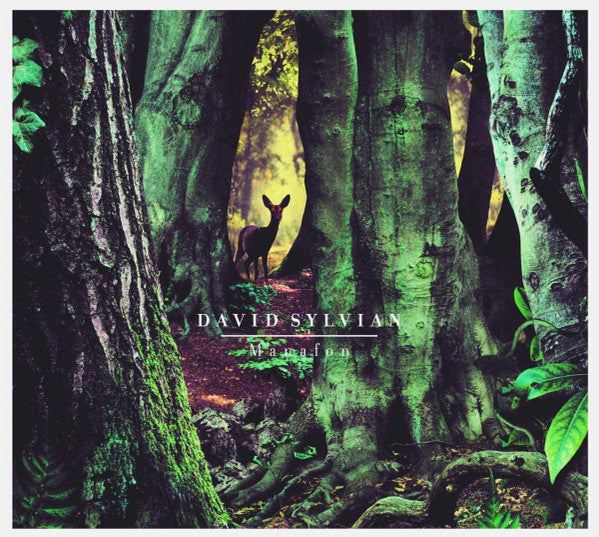 David Sylvian : Manafon (2xLP, 180)