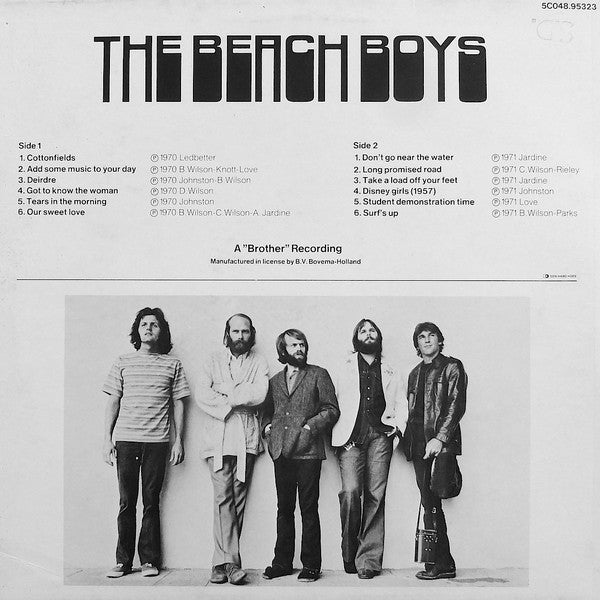 The Beach Boys : Another Definite Album (LP, Comp)