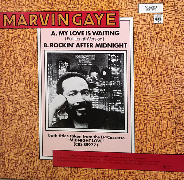 Marvin Gaye - My Love Is Waiting (12" Tweedehands) - Discords.nl