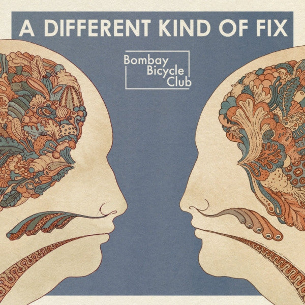 Bombay Bicycle Club - A Different Kind Of Fix (LP) - Discords.nl