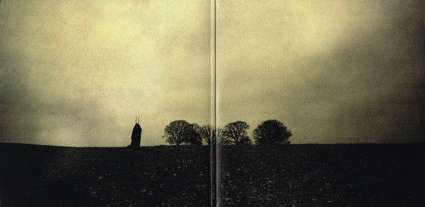 Steven Wilson : Grace For Drowning (2xLP, Album, Ltd)