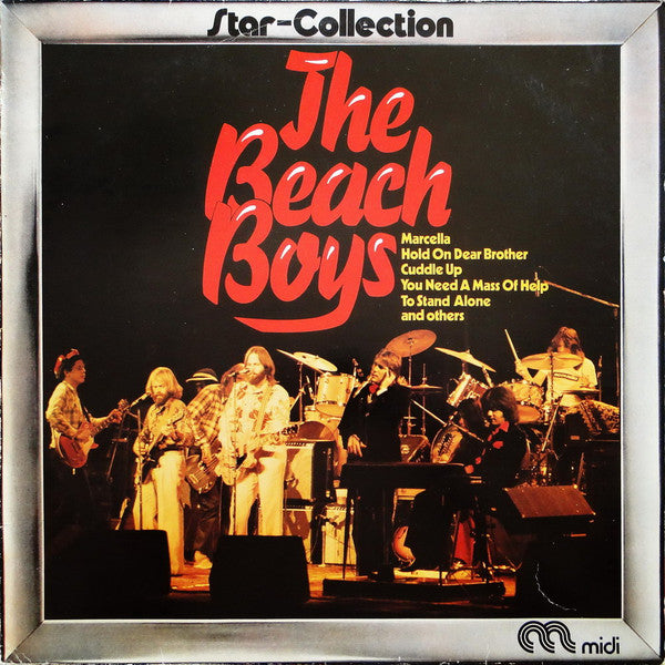 The Beach Boys : The Beach Boys  (LP, Album)
