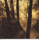 Band Of Horses : Mirage Rock (2xCD, Album, Del)