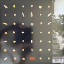 Clipping. - Visions Of Bodies Being Burned (LP) - Discords.nl