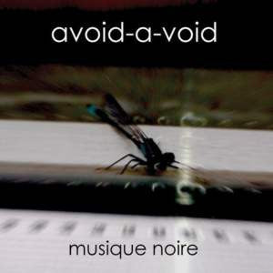 Avoid-A-Void : Musique Noire (CD, Album)