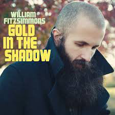 William Fitzsimmons : Gold In The Shadow (CD, Album)