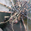 Saga (3) : Trust (CD, Album)