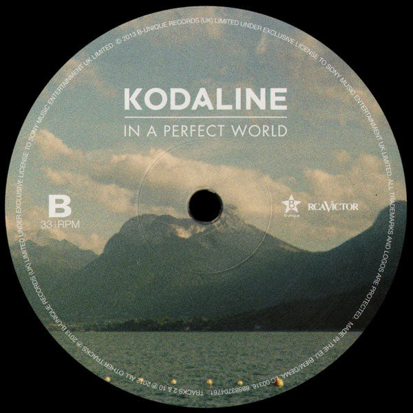 Kodaline : In A Perfect World (LP, Album, Ltd, Gat)
