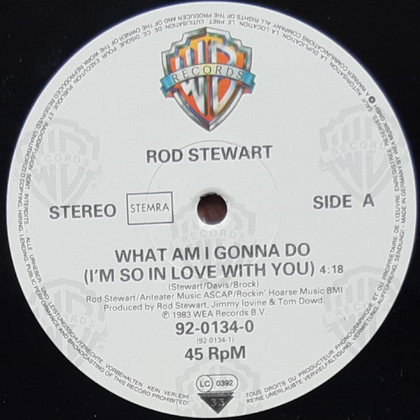 Rod Stewart - What Am I Gonna Do (I'm So In Love With You) (12" Tweedehands) - Discords.nl