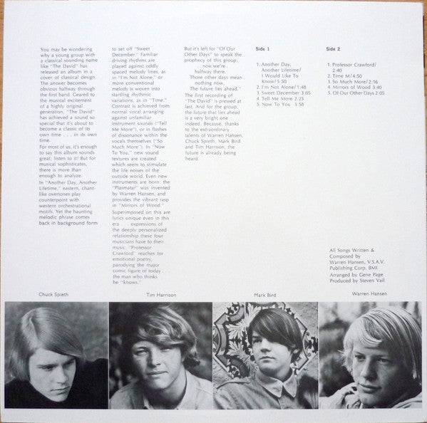 The David : Another Day, Another Lifetime (LP, Album, RE, 180)