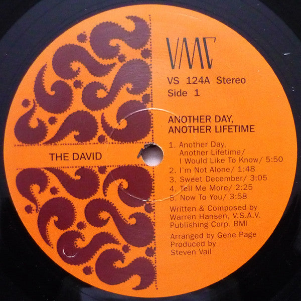 The David : Another Day, Another Lifetime (LP, Album, RE, 180)