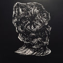 Angel Olsen : Burn Your Fire For No Witness (LP, Album)