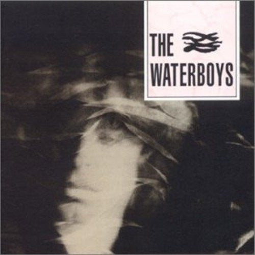 The Waterboys : The Waterboys (LP, Album, RE, RM, 180)