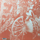 Deerhunter : Microcastle / Weird Era Cont. (LP, Album, RP + LP + RE)