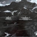 Andrew Bird - Outside Problems  (LP) - Discords.nl