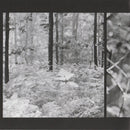 George Kooymans - Jojo (CD Tweedehands) - Discords.nl