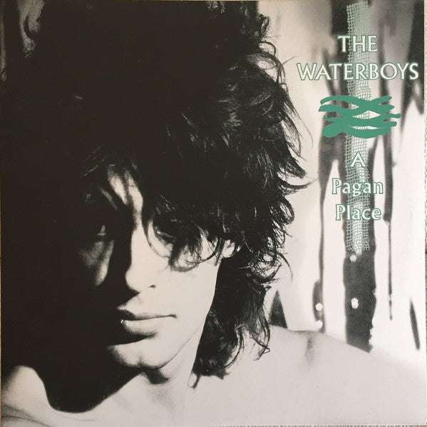 The Waterboys : A Pagan Place (LP, Album, RE, RM, 180)