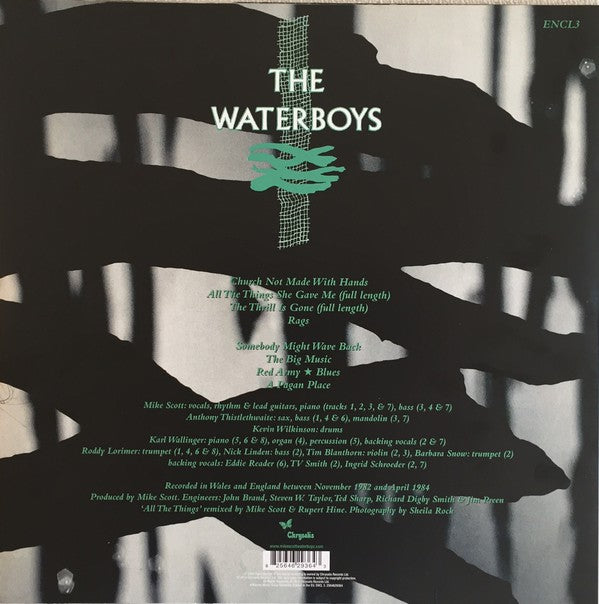 The Waterboys : A Pagan Place (LP, Album, RE, RM, 180)