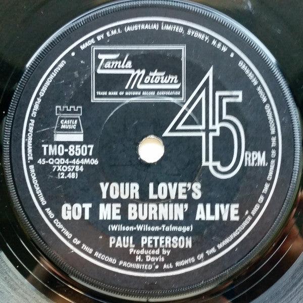 Paul Petersen : A Little Bit For Sandy (7", Single)