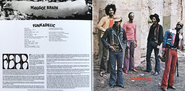 Funkadelic - Funkadelic - Maggot Brain  (LP) - Discords.nl