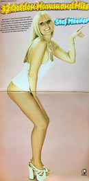 Stef Meeder : 32 Golden Hammond Hits (2xLP, Comp)