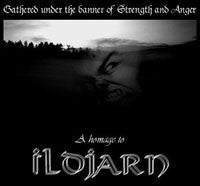 Various : Gathered Under The Banner Of Strength And Anger: A Homage To Ildjarn (CD, Comp)