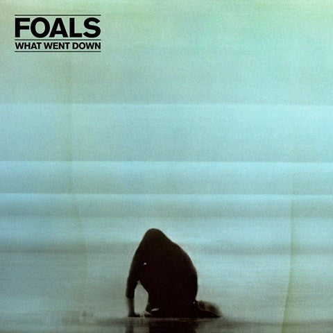 Foals : What Went Down (LP, Album, 180)