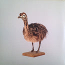 John Grant : Grey Tickles, Black Pressure (LP, Ora + LP, Lav + CD + Album, Ltd)