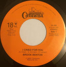 Brook Benton : I Cried For You / Jet (7")