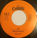 Brook Benton : I Cried For You / Jet (7")