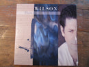 Brian Wilson : Brian Wilson (LP, Album, RE, RM + LP + Dlx, Ltd, Blu)