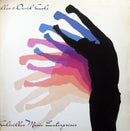 The S.O.U.L. S.Y.S.T.E.M. Introducing Michelle Visage : It's Gonna Be A Lovely Day (2x12")