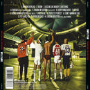 Simple Plan : Taking One For The Team (CD, Album)