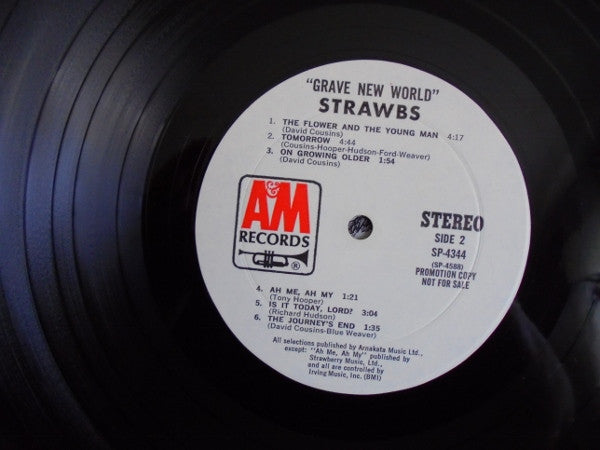 Strawbs : Grave New World (LP, Promo)