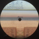 Brian Eno : The Ship (2xLP, Album)