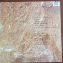 Chicago (2) : Greatest Hits 1982-1989 (LP, Comp)