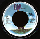 Suzi Quatro : She's In Love With You (7", Single)