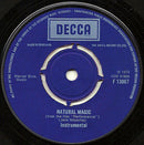 Mick Jagger : Memo From Turner / Natural Magic (7", Single)