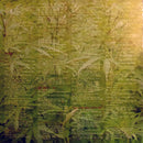 Peter Tosh : Legalize It (2xLP, Album, RE, 180)