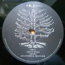 Kings Of Leon : Youth & Young Manhood (2xLP, Album, RE, RM)