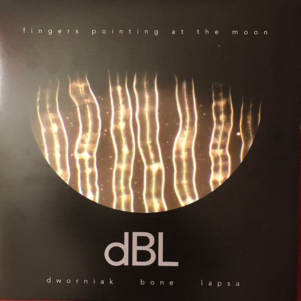 Dworniak Bone Lapsa : Fingers Pointing At The Moon (LP, Album, Gat)