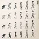 The Beta Band : Human Being (12")